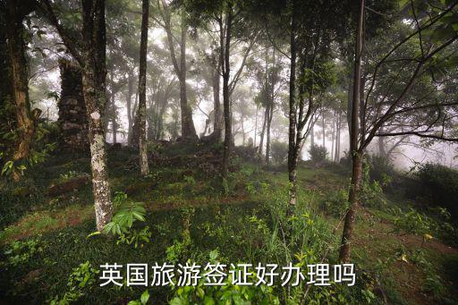 英國旅游簽證好辦理嗎