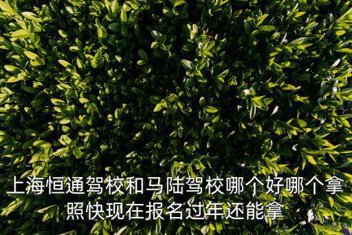 上海恒通駕校和馬陸駕校哪個(gè)好哪個(gè)拿照快現(xiàn)在報(bào)名過年還能拿