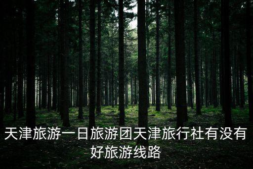 天津旅游一日旅游團(tuán)天津旅行社有沒有好旅游線路