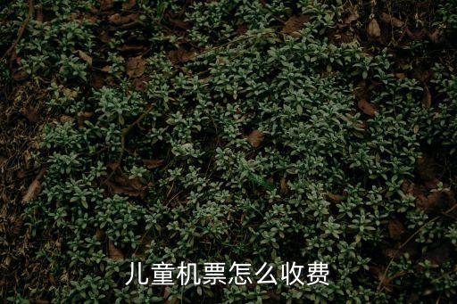 兒童機票，飛機兒童票有什么標準