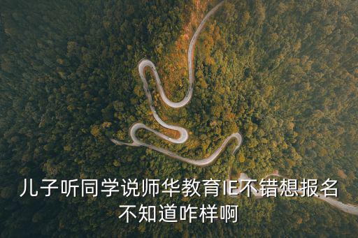師華，兒子聽同學說師華教育IE不錯想報名不知道咋樣啊