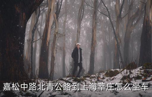 嘉松中路，上海市松江區嘉松中路有地鐵站嗎附近有地鐵站幾號線