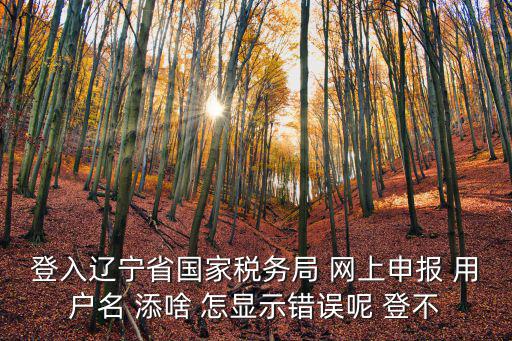 登入遼寧省國家稅務局 網上申報 用戶名 添啥 怎顯示錯誤呢 登不