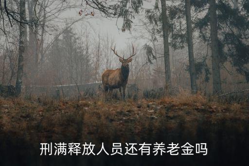 刑滿釋放人員還有養老金嗎