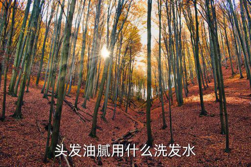 頭發(fā)油膩用什么洗發(fā)水