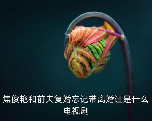 焦俊艷和前夫復婚忘記帶離婚證是什么電視劇