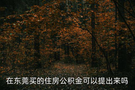 在東莞買的住房公積金可以提出來嗎