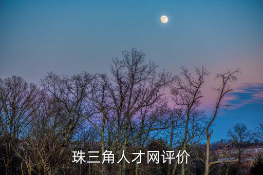 珠三角人才網(wǎng)評(píng)價(jià)