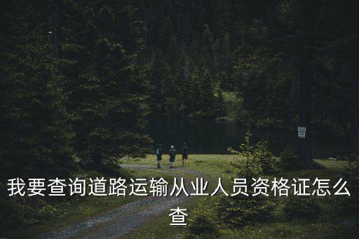 我要查詢道路運(yùn)輸從業(yè)人員資格證怎么查