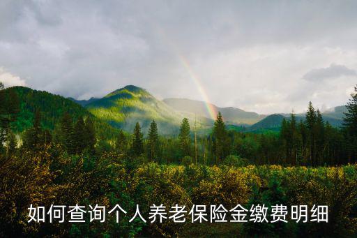 如何查詢個人養(yǎng)老保險金繳費明細