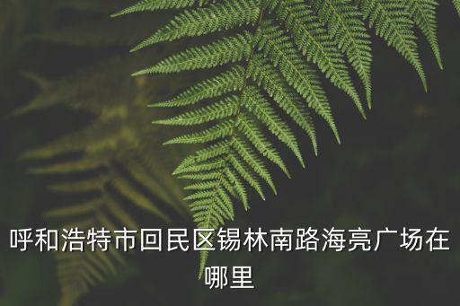 呼和浩特海亮廣場(chǎng)，呼和浩特市回民區(qū)錫林南路海亮廣場(chǎng)在哪里