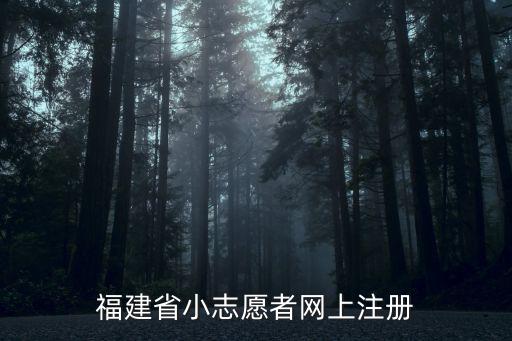福建省小志愿者網(wǎng)上注冊