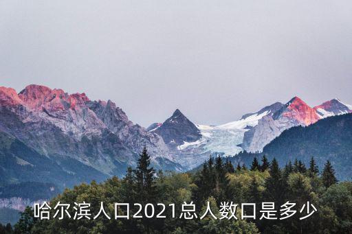 哈爾濱多少人口，哈爾濱現在有多少萬人口