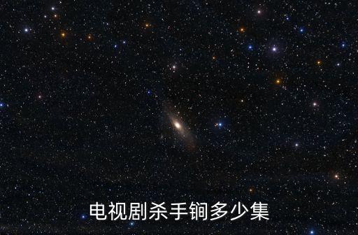 電視劇殺手锏多少集