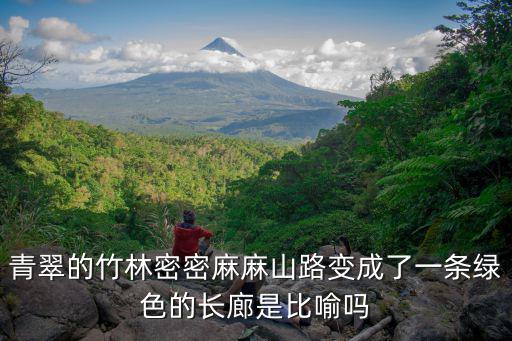 青翠的竹林密密麻麻山路變成了一條綠色的長廊是比喻嗎