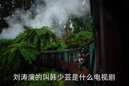 劉濤演的叫韓少蕓是什么電視劇