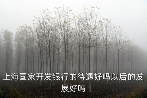 上海國家開發銀行的待遇好嗎以后的發展好嗎