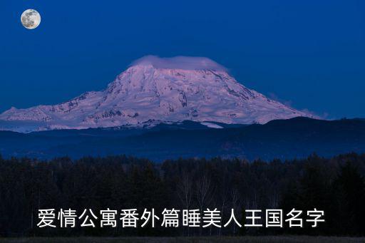 愛情公寓番外篇睡美人王國名字