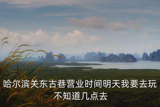 關東古巷，哈爾濱現在關東古巷怎么樣人多熱鬧嗎