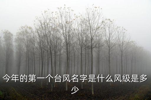今年的第一個臺風名字是什么風級是多少