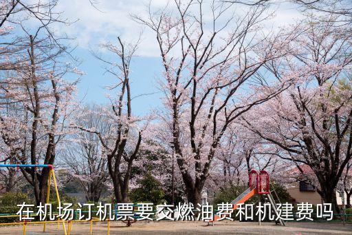 機票燃油費，在機場訂機票要交燃油費和機建費嗎