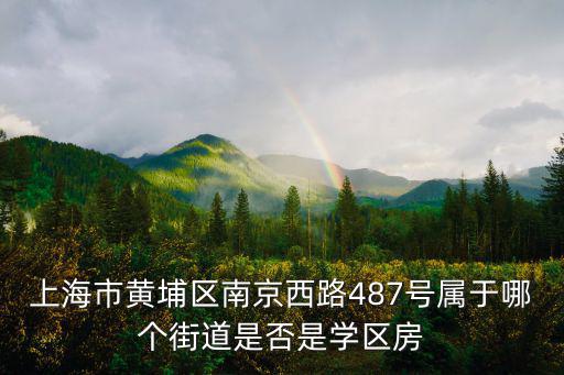 上海市黃埔區(qū)南京西路487號屬于哪個街道是否是學(xué)區(qū)房