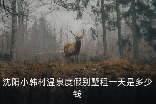 沈陽小韓村溫泉度假別墅租一天是多少錢
