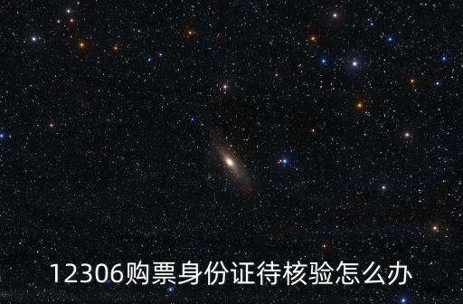 12306購票身份證待核驗怎么辦