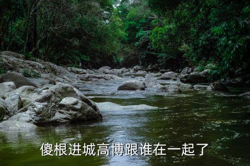 傻根進(jìn)城高博跟誰在一起了