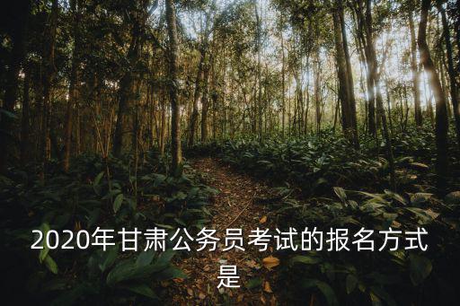 甘肅組工網，2020年甘肅公務員考試的報名方式是