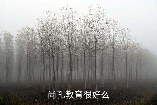 尚孔教育，尚孔教育這個(gè)輔導(dǎo)機(jī)構(gòu)怎么樣
