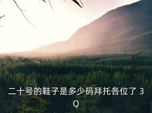二十號的鞋子是多少碼拜托各位了 3Q