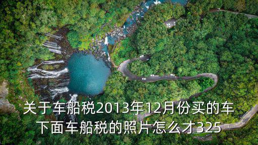 車船稅照片，用車倆登記證書照片去補交車船稅可以不