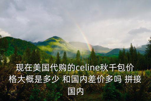 現在美國代購的celine秋千包價格大概是多少 和國內差價多嗎 拼接國內