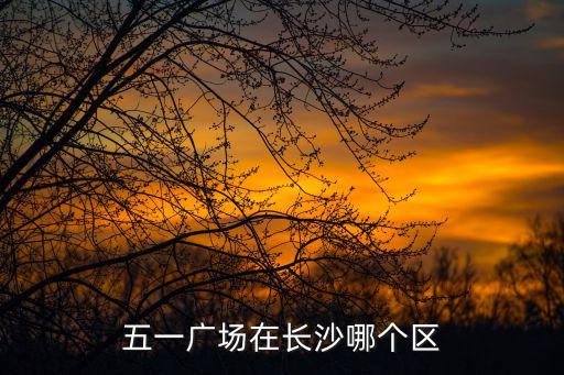 五一廣場在長沙哪個區