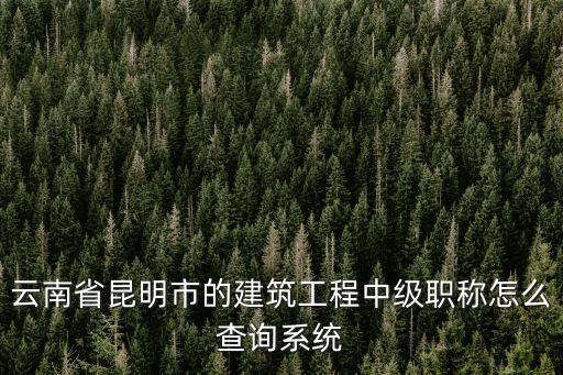 云南省昆明市的建筑工程中級職稱怎么查詢系統