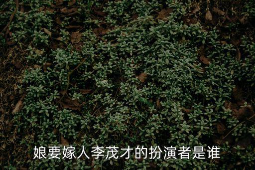 娘要嫁人李茂才的扮演者是誰