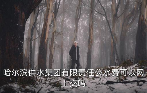 哈爾濱供水集團有限責任公水費可以網上交嗎