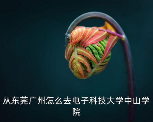 從東莞廣州怎么去電子科技大學中山學院