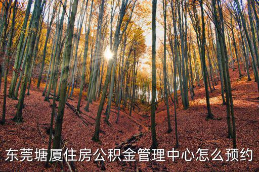 東莞市住房公積金管理中心，東莞住房公積金卡在哪了補(bǔ)辦