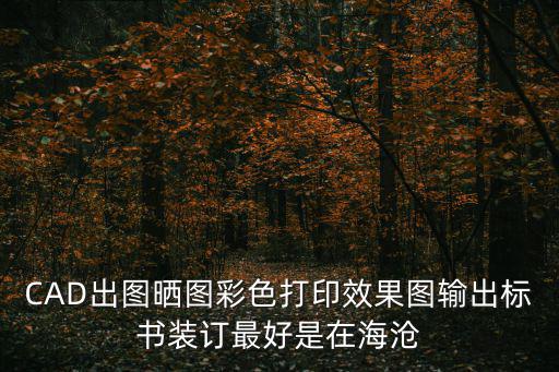 CAD出圖曬圖彩色打印效果圖輸出標(biāo)書裝訂最好是在海滄