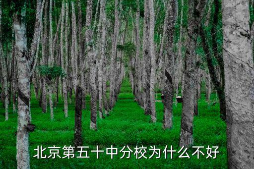 北京第五十中分校為什么不好