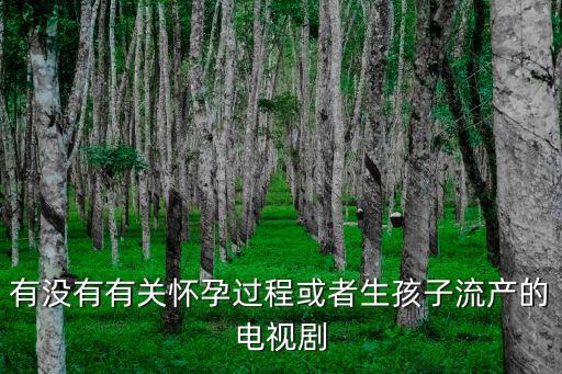 有沒有有關懷孕過程或者生孩子流產的電視劇