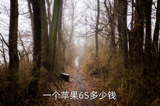 一個蘋果6S多少錢