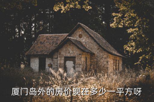 廈門島外的房價現(xiàn)在多少一平方呀