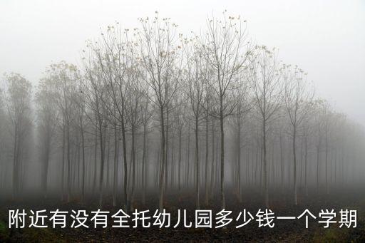 附近有沒有全托幼兒園多少錢一個學期