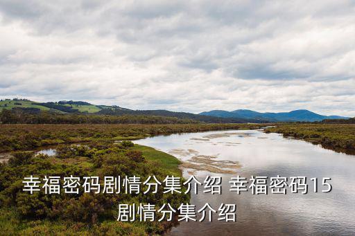 幸福密碼劇情分集介紹，幸福密碼的劇情簡介