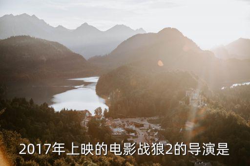 2017年上映的電影戰狼2的導演是
