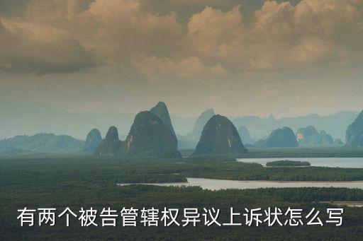 有兩個(gè)被告管轄權(quán)異議上訴狀怎么寫
