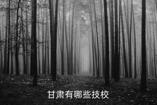 甘肅學(xué)校，甘肅有哪些技校
